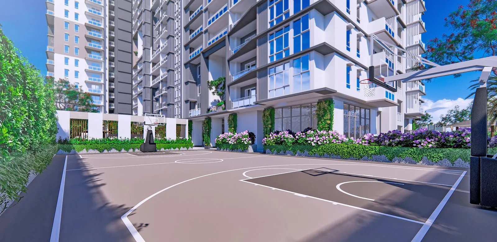 Basketball Court